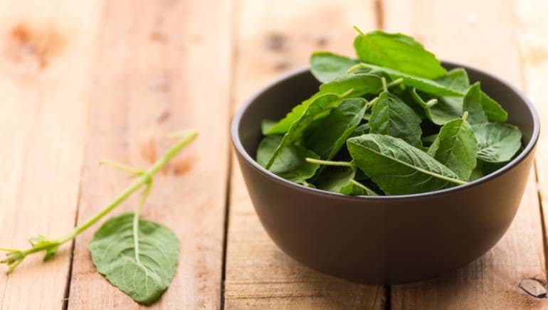 Neem vs Tulsi: Which Ayurvedic herb is better for your skin?